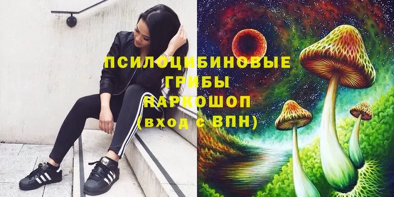 Псилоцибиновые грибы GOLDEN TEACHER Красногорск